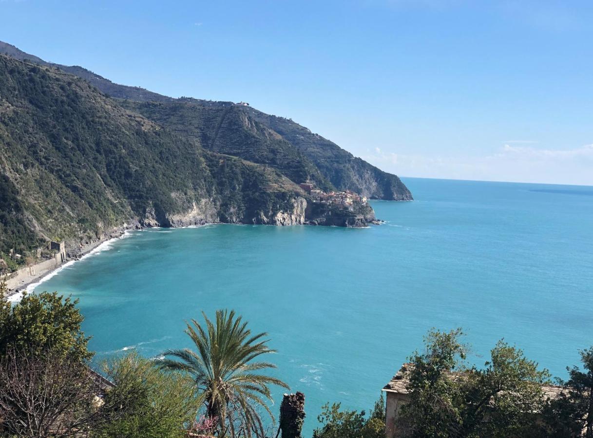 My Place Your Place Corniglia Kültér fotó